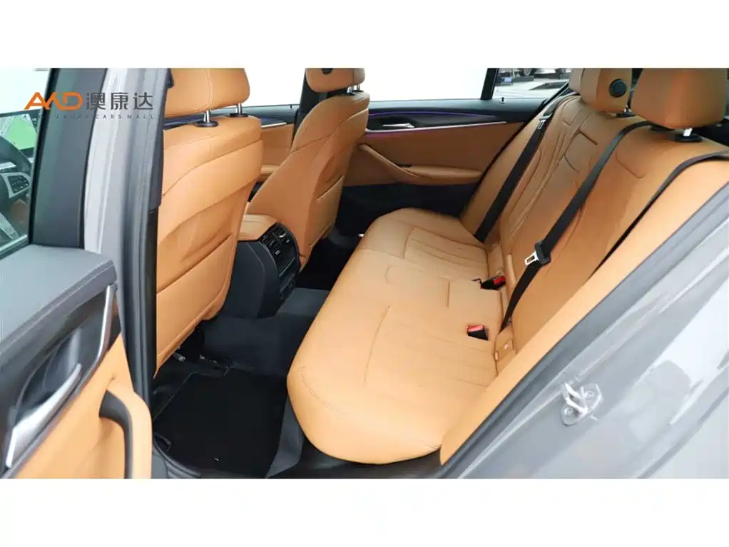 BMW 5 Series (Import) 2021 525i M Sport Package фото 7