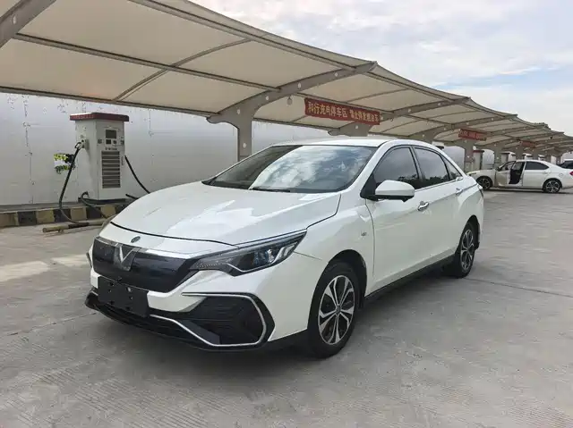 Venucia D60EV 2020 Standard Range Smart Edition