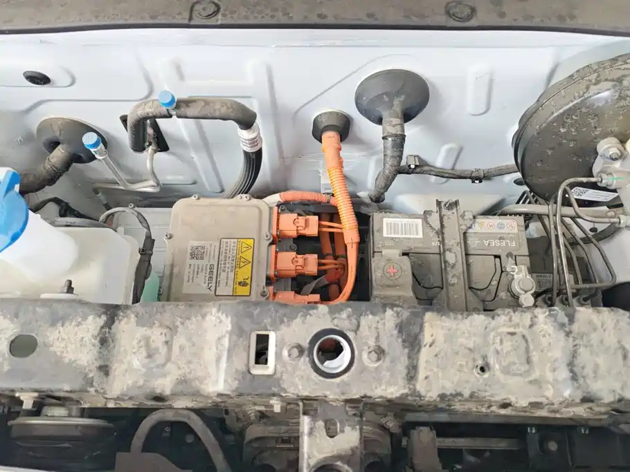 Geely Galaxy Panda 2026 2024 Panda mini 200km Endurance Bear