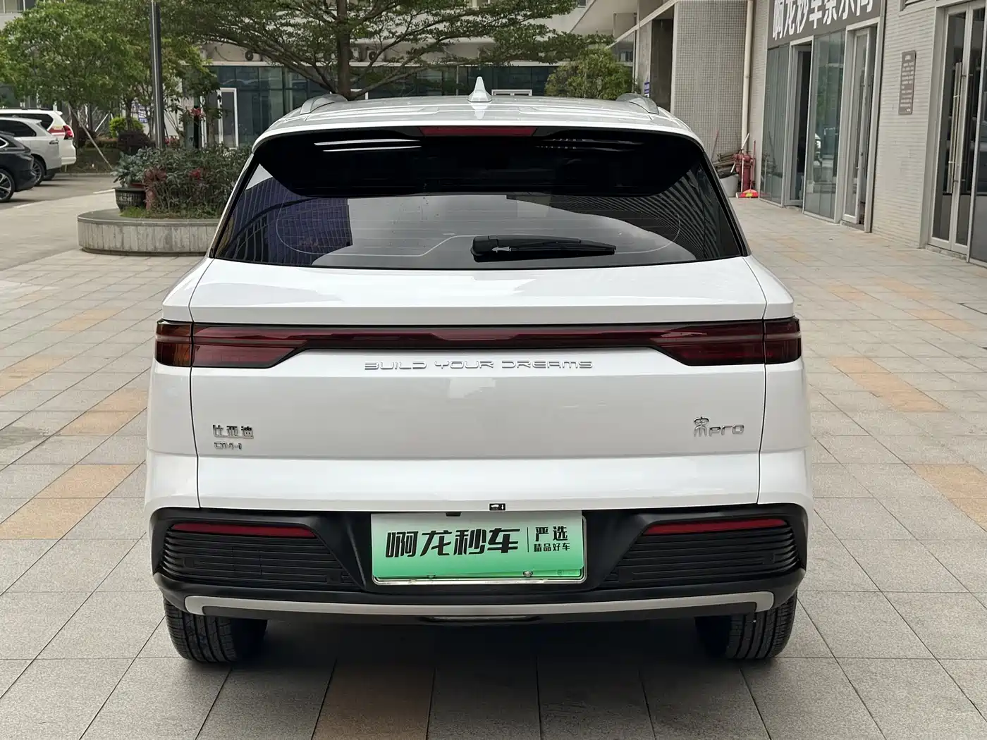 BYD SONGJIANG NEW ENERGY