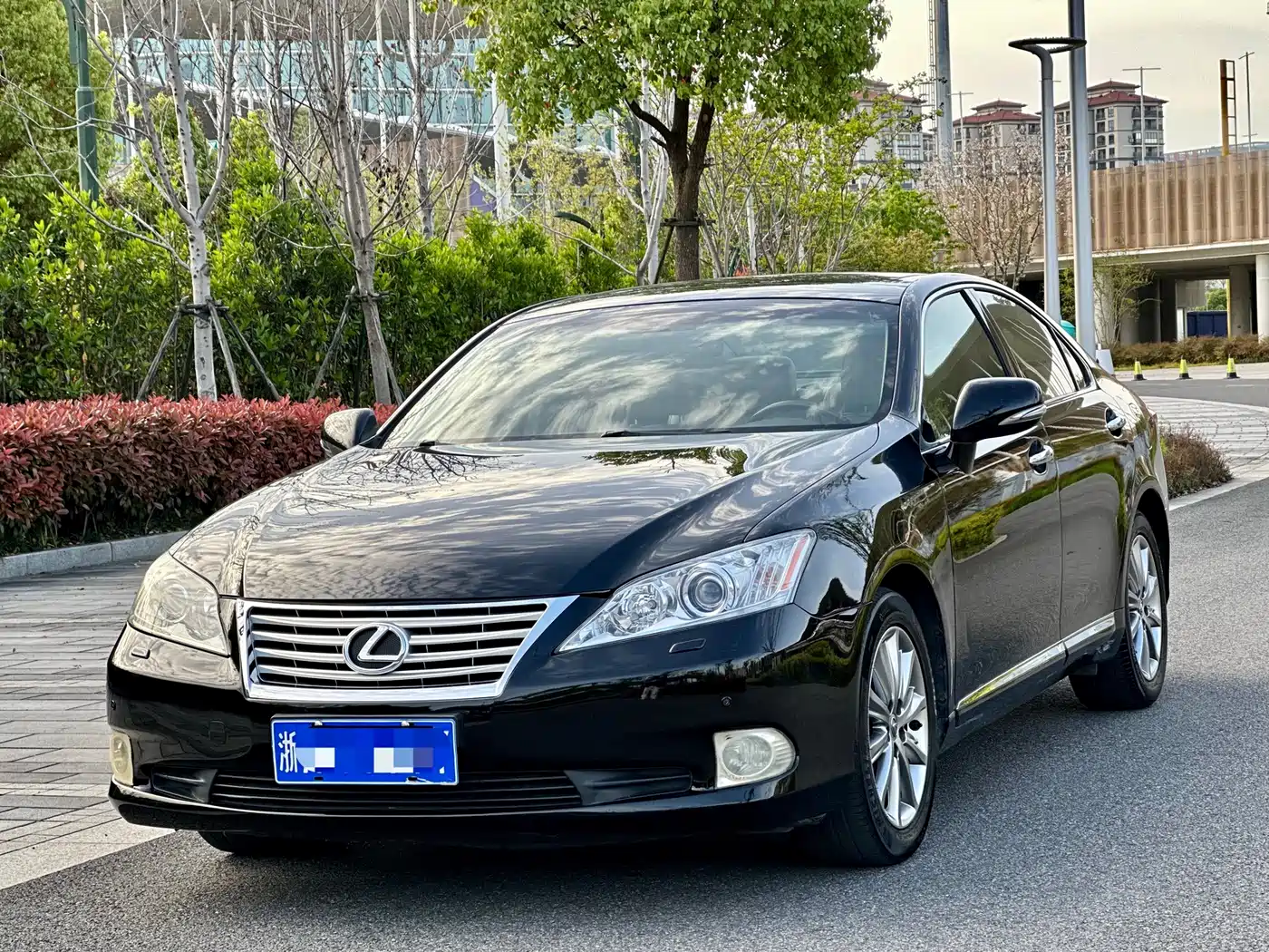 Lexus ES 2010 350 Luxury Edition