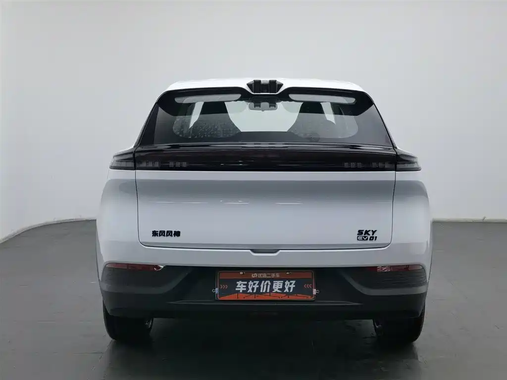 DONGFENG SKY EV01