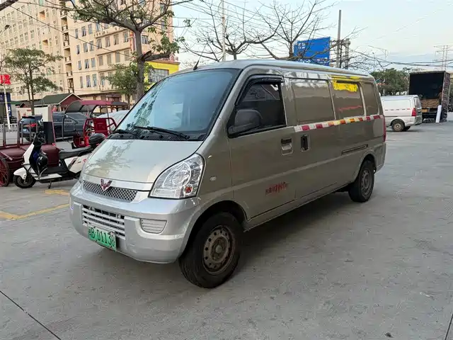 Wuling Motors Wuling Rongguang EV 2020 Sealed Window Basic 2-seater 300KM
