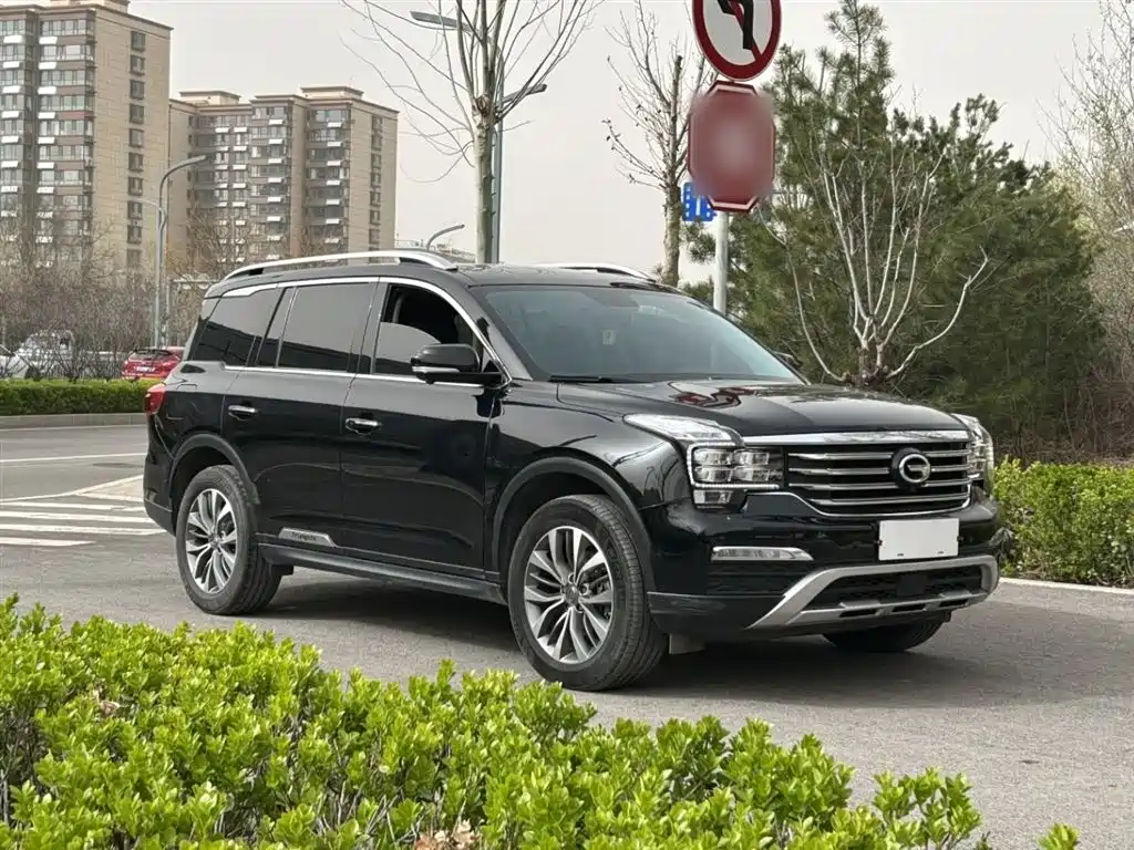 GAC Trumpchi Trumpchi GS8 2017 320T 2WD Luxury Smart Connect (7-seater) фото 6