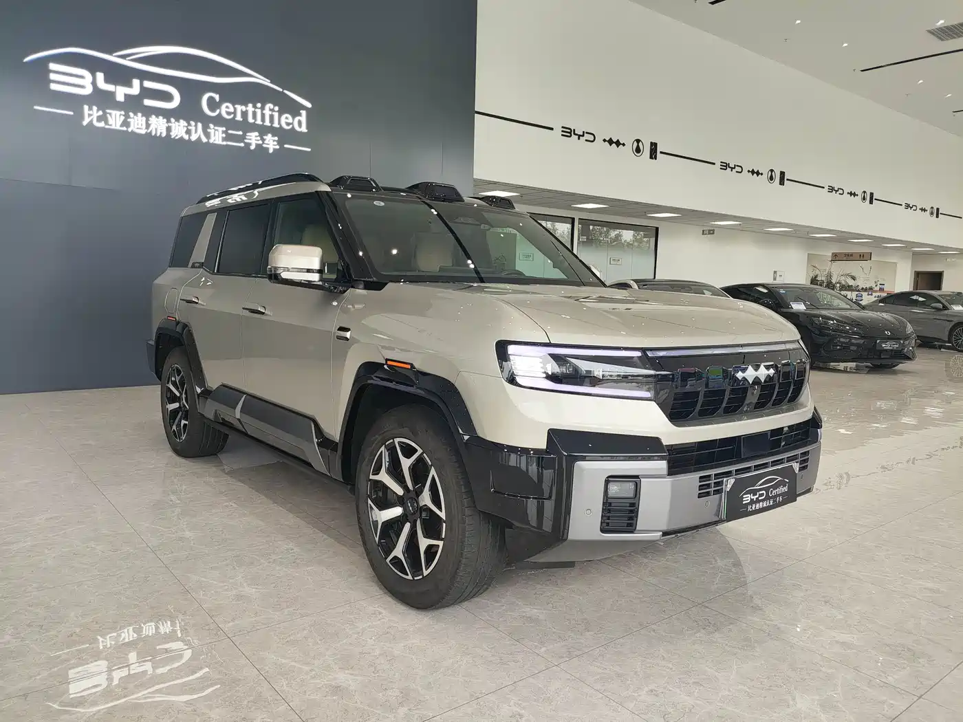 Fang Cheng Bao Leopard 8 2025 2025 Zhiyong Flagship 7-Seater