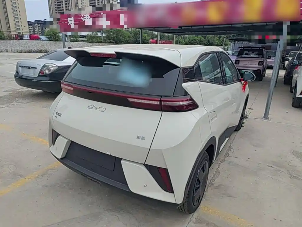 BYD Seagull 2026 2025 Smart Drive Edition 305km Vitality Version