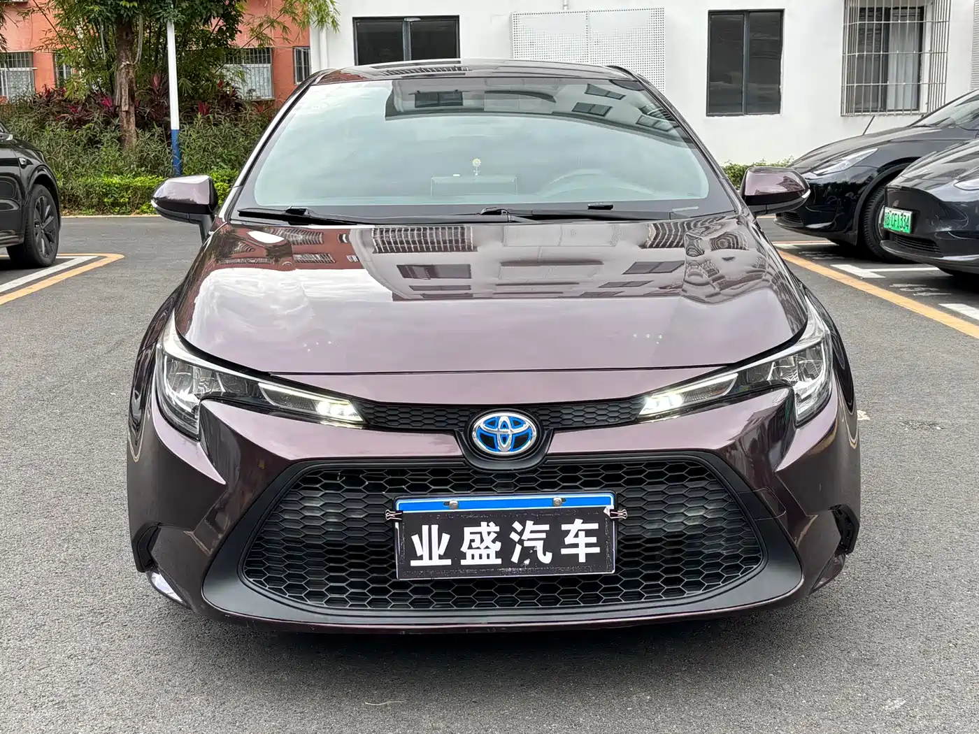 Toyota Levin 2019 Dual Engine 1.8H E-CVT Progressive Edition China V фото 2