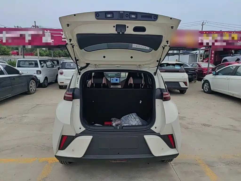 BYD Seagull 2026 2025 Smart Drive Edition 305km Vitality Version