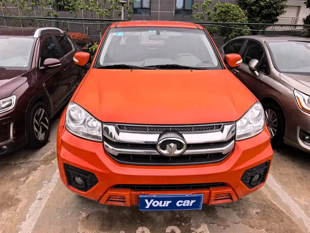 GREAT WALL FENGJUN 5