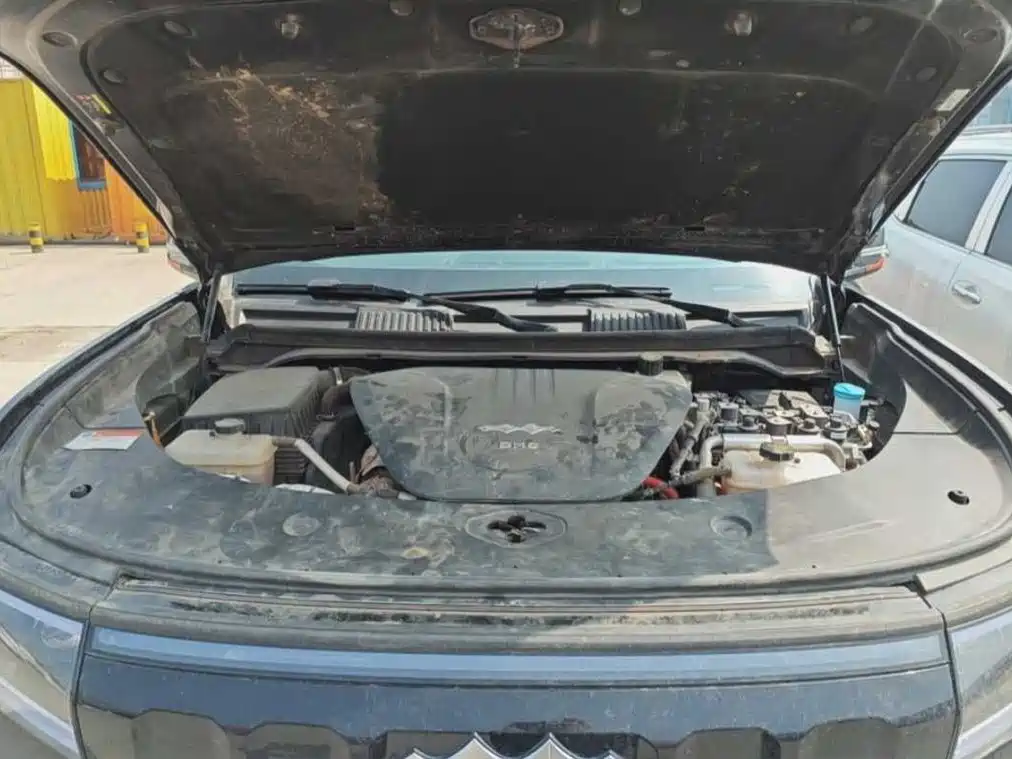 FANG CHENG BAO LEOPARD 8