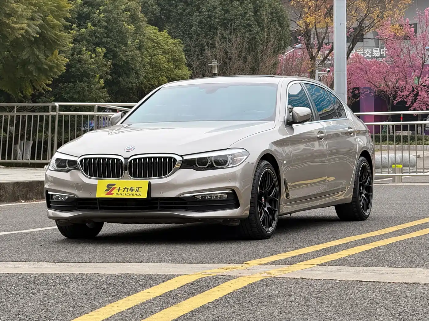 BMW 5 Series 2018 528Li Launch Special Edition