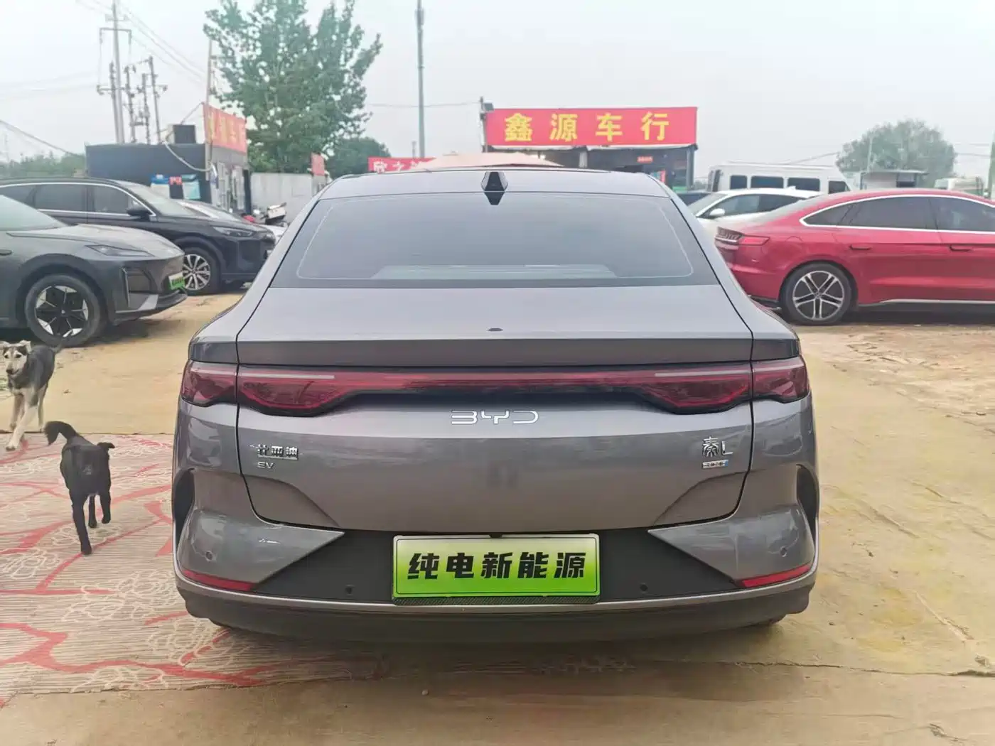 BYD QIN L