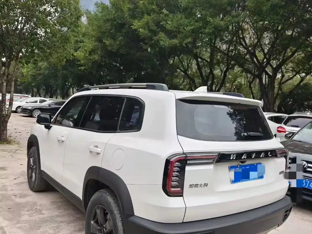 Haval Big Dog 2022 1.5T DCT FWD Husky Edition фото 5