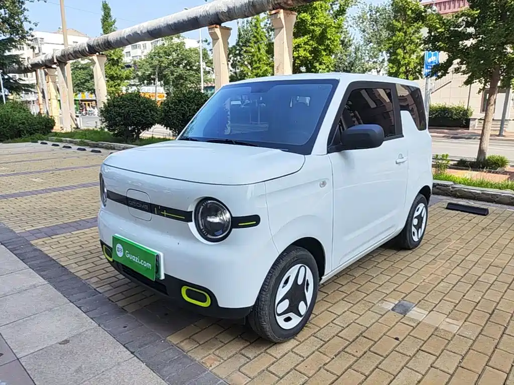 Geely Galaxy Panda 2025 Panda mini 210km Vitality Bear