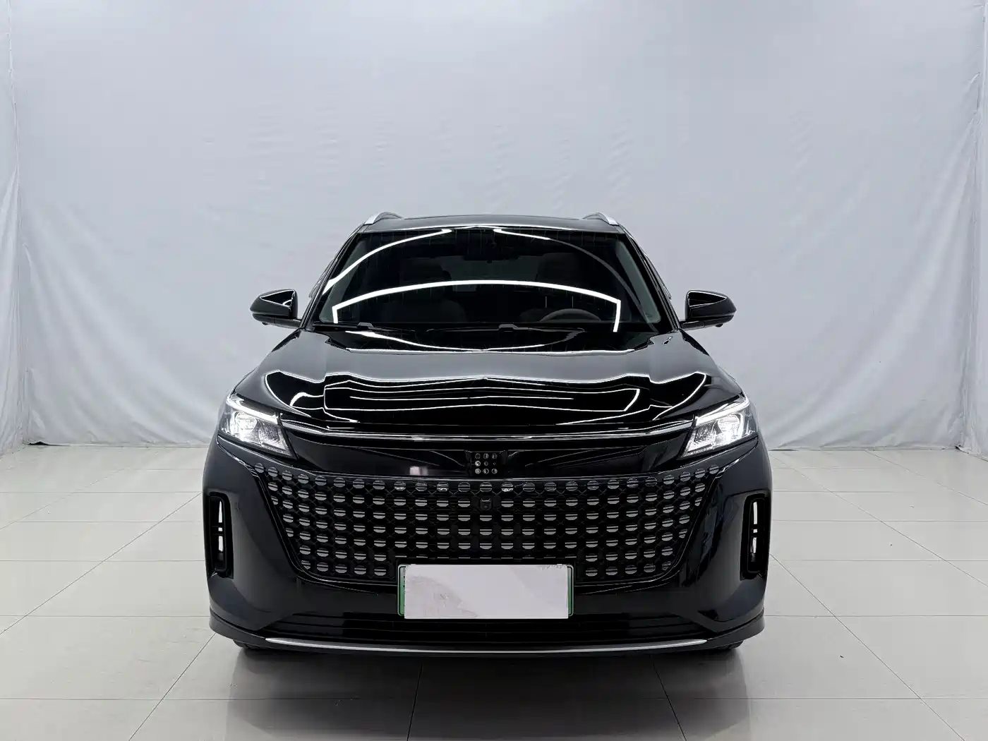 Landian E5 2024 2024 Glory Edition 100KM Premium Type 7-Seater