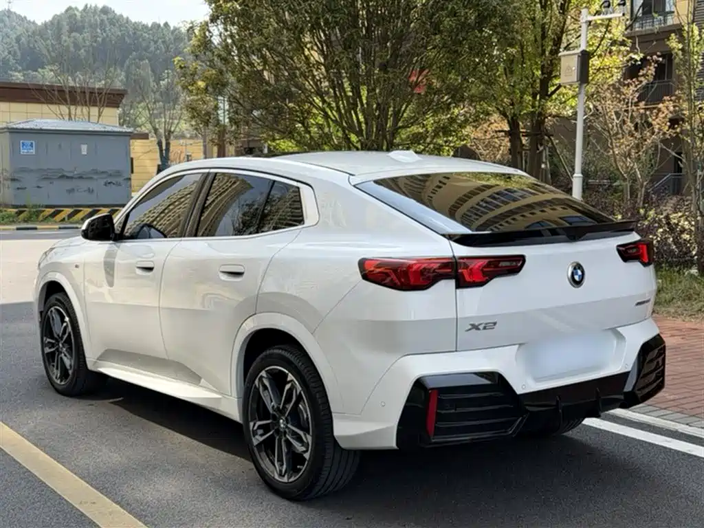 BMW X2 (Import) 2024 sDrive25i M Sport Package фото 16