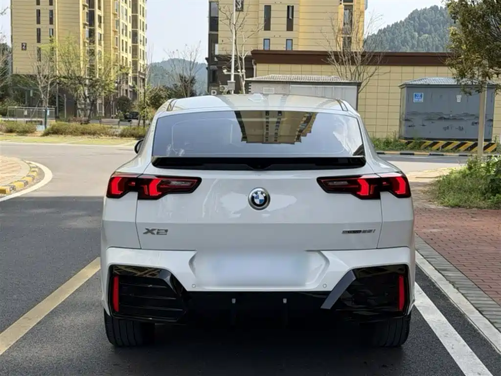 BMW X2 (Import) 2024 sDrive25i M Sport Package фото 15