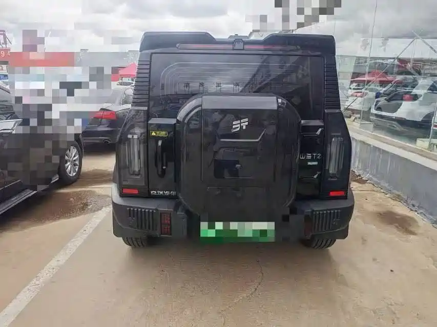 Jetour Shanhai T2 2025 2024 C-DM 129KM Forest Edition