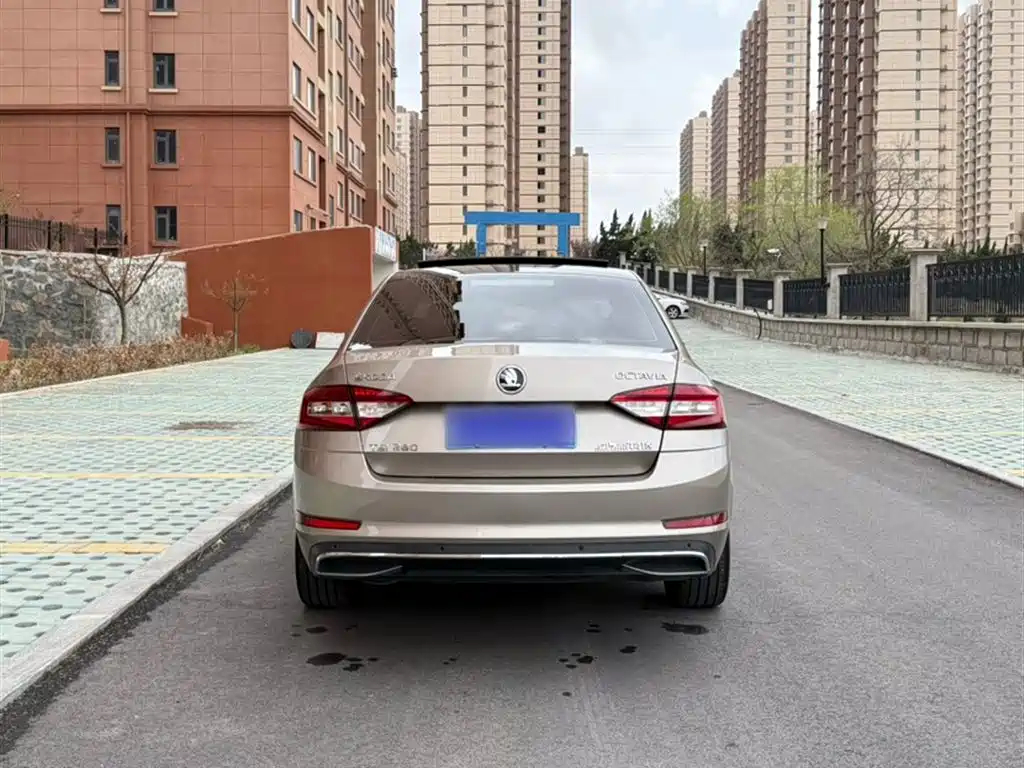 Škoda Octavia 2018 TSI280 DSG Luxury Edition фото 13