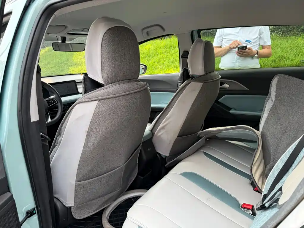 Geely Geometry E Firefly 2024 2024 Model 401km Fluorescent