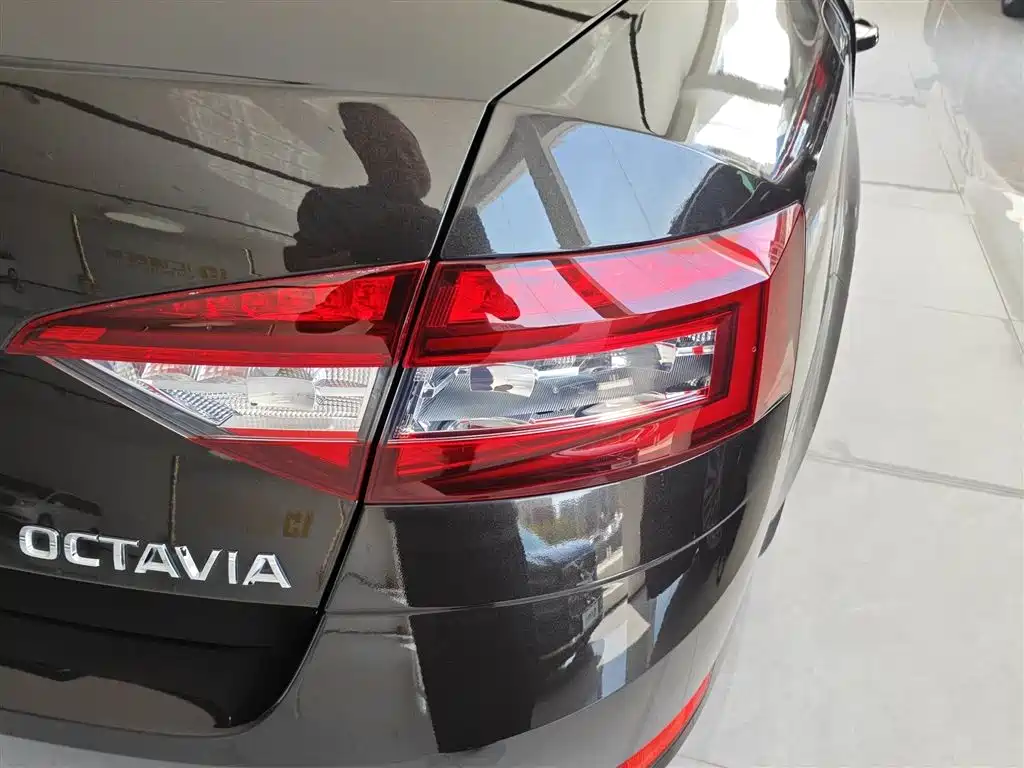 Škoda Octavia 2019 1.5L Automatic Smart Luxury Edition China V фото 8