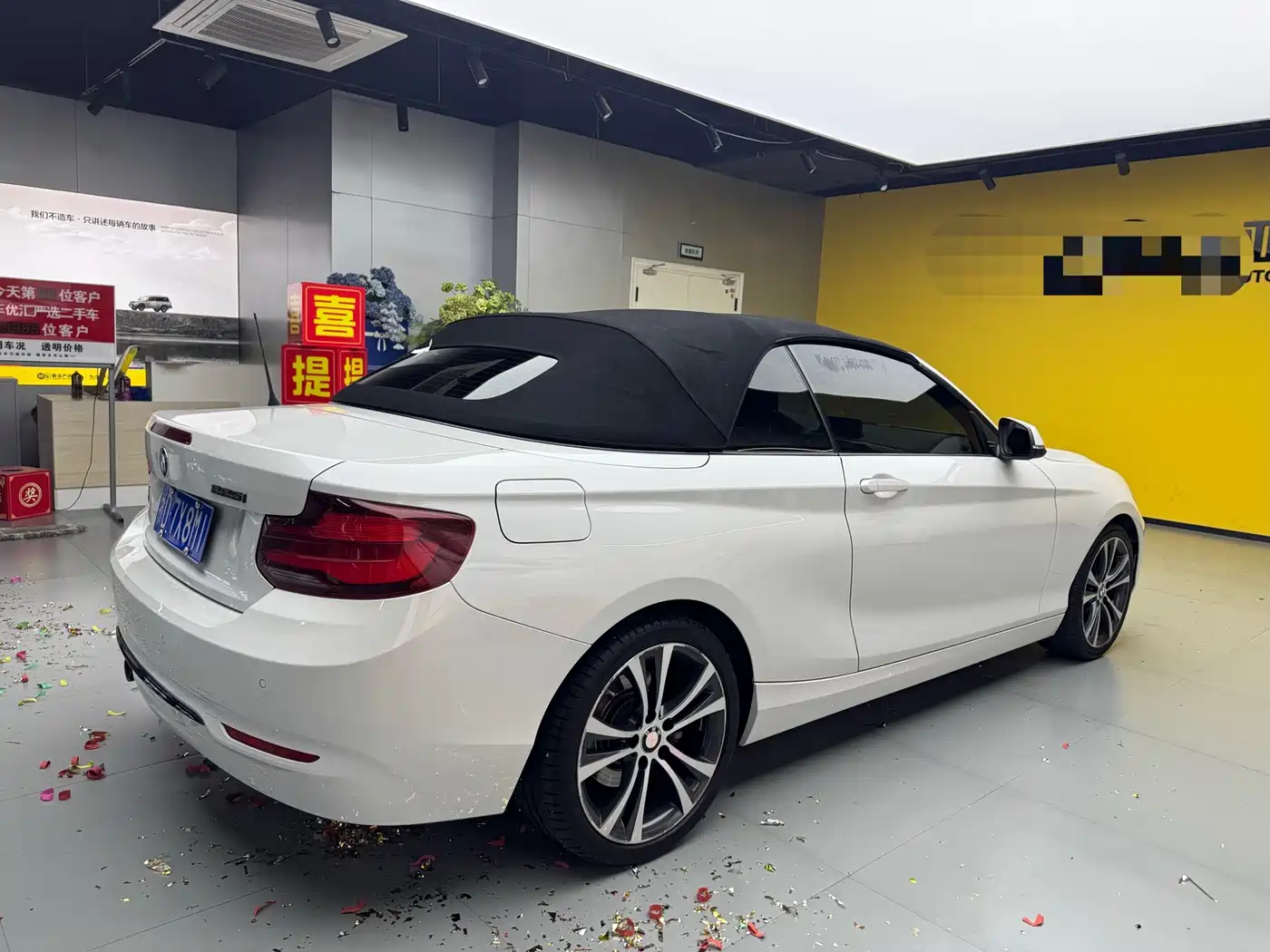 BMW 2 Series (Import) 2019 225i Convertible Coupe Sport Design Package фото 13