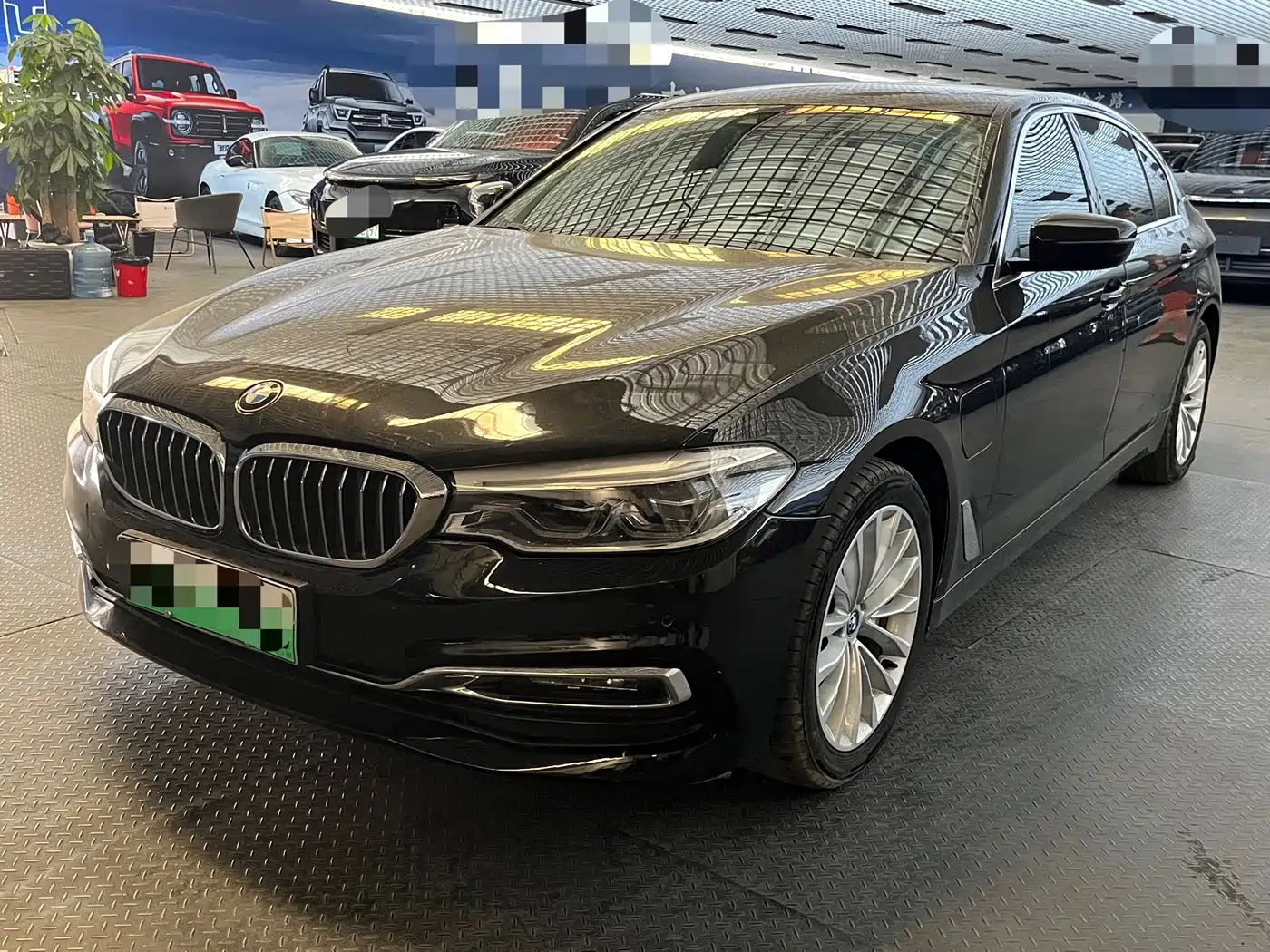 BMW 5 Series New Energy 2019 530Le Luxury Package