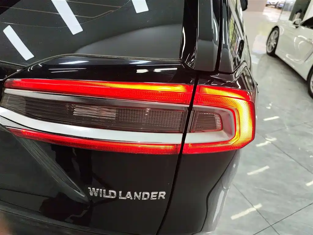 Toyota Wildlander 2021 2.0L CVT 2WD Luxury Edition фото 8
