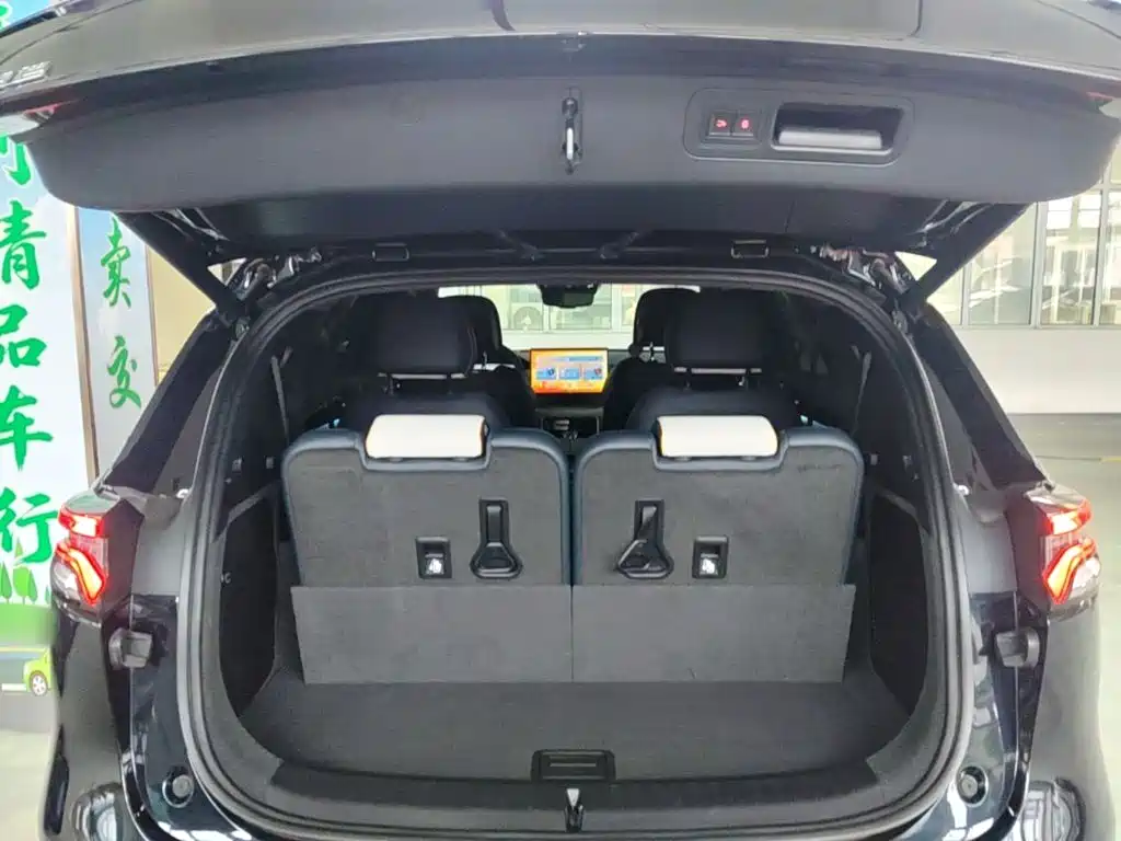 صورة 19 - BYD Tang New Energy