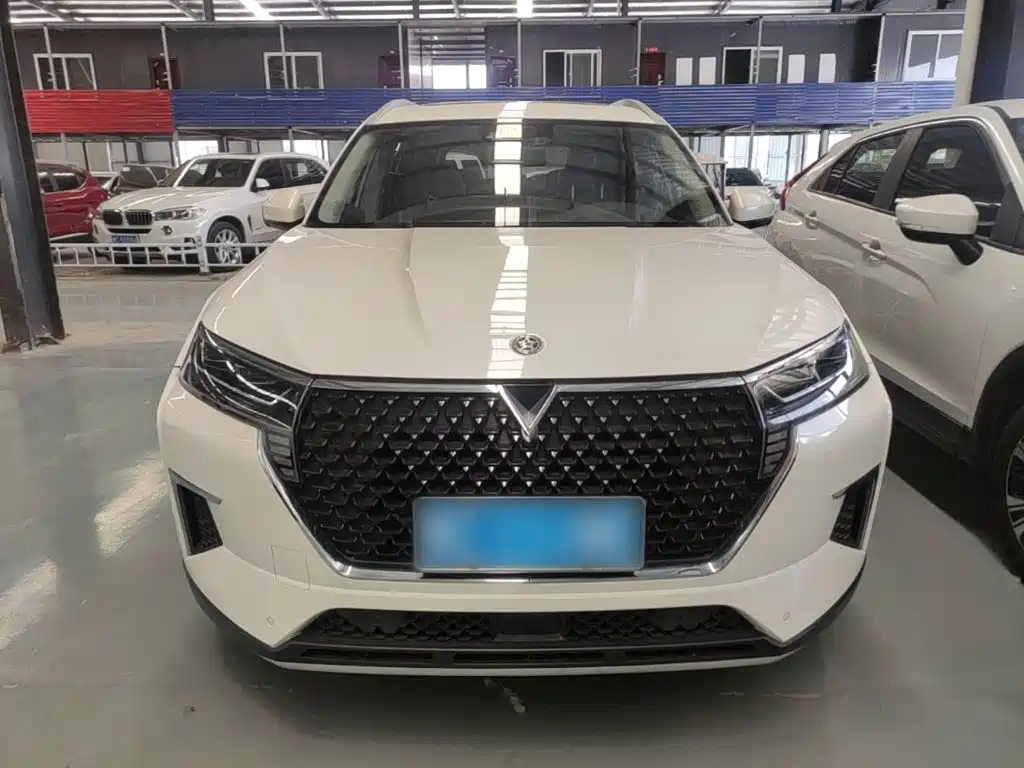 Venucia Star 2021 2020 260T Automatic 48V Mild Hybrid Turbo Starlight Edition