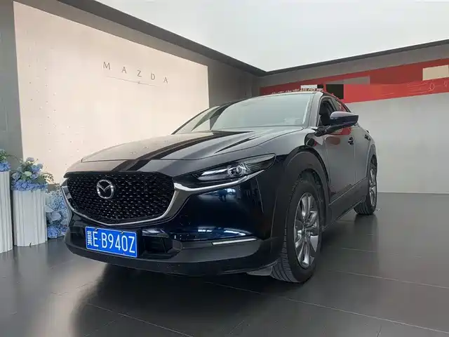  Mazda Mazda CX-30 2021 2.0L Auto Elegant Joy Type
