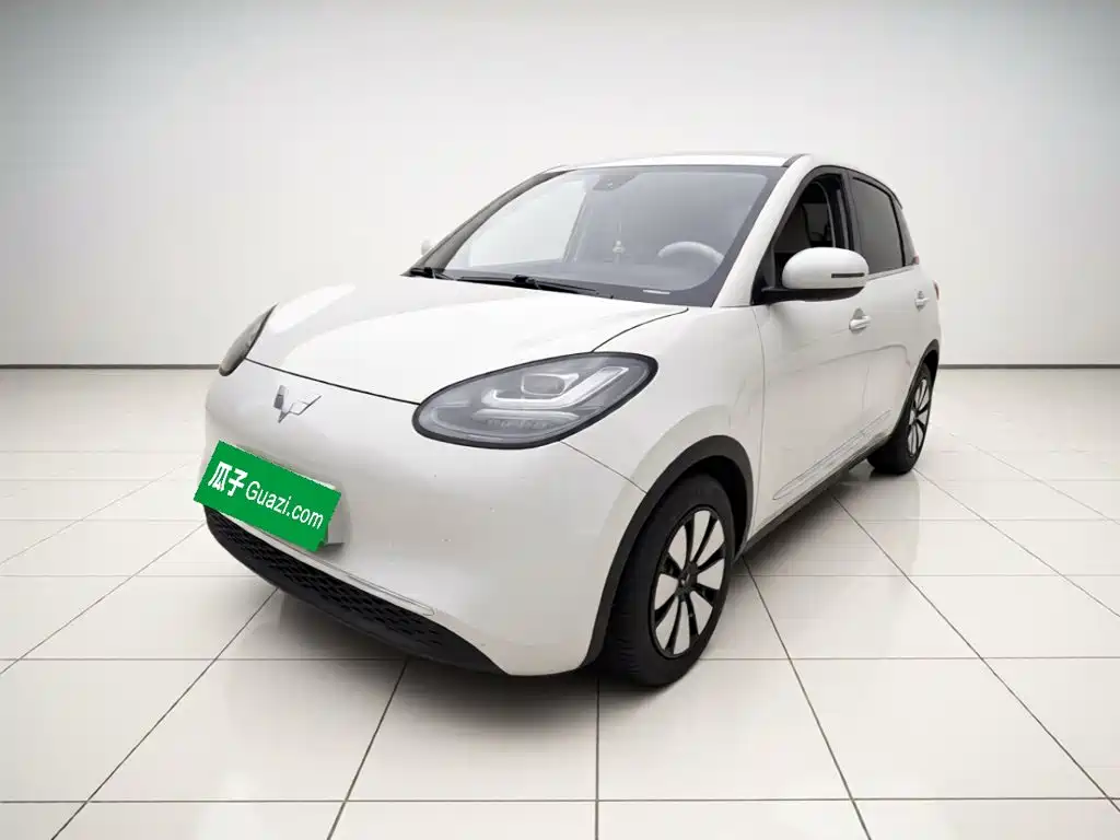 Wuling Motors Wuling Bingo 2023 203km Comfort Version