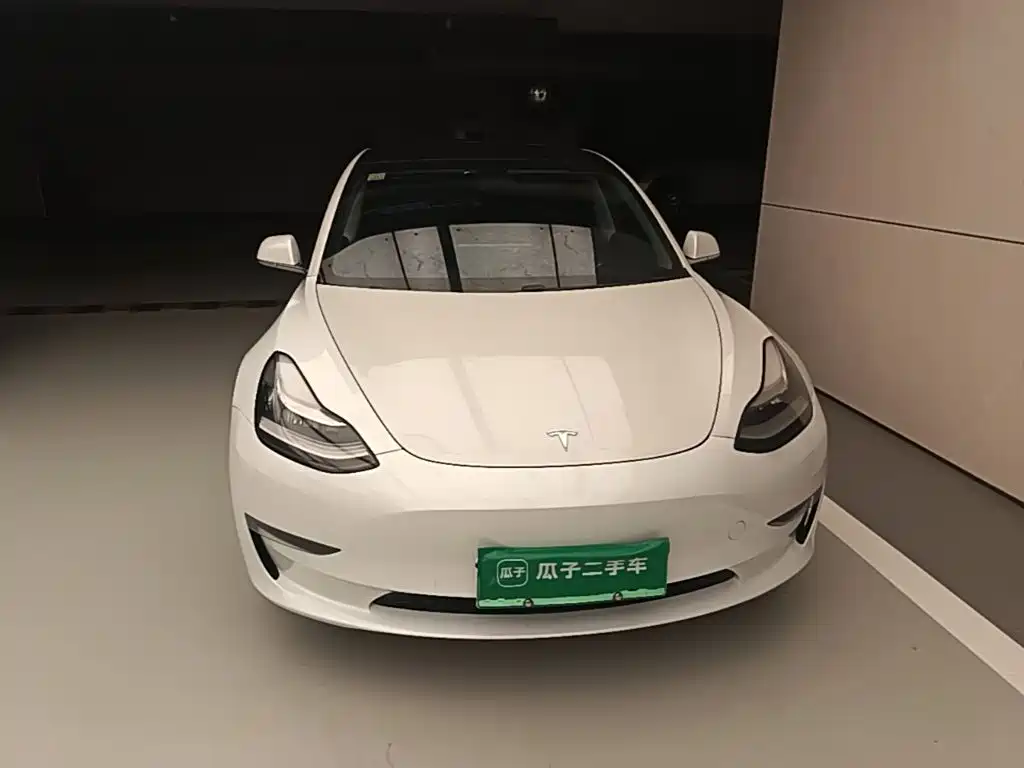 Tesla Model 3 (Import) 2019 2019 Long Range RWD Version