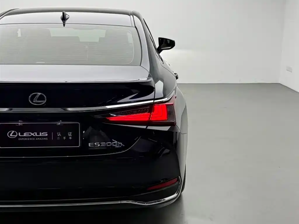 Lexus ES 2018 300h Excellence Edition China V фото 15