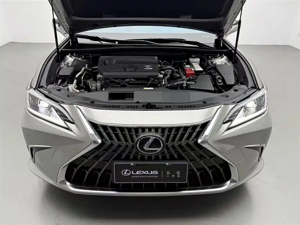 Lexus ES 2022 200 Excellence Edition фото 3