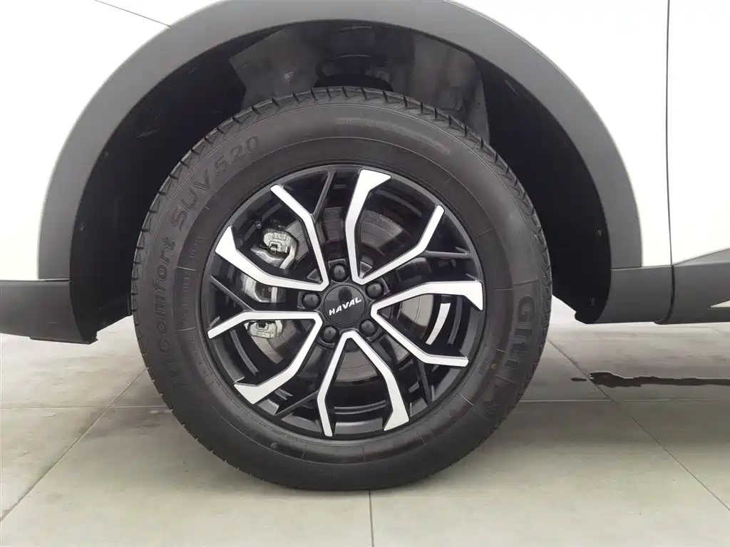 Haval H6 2021 National Trend Edition 1.5T Automatic Urban Edition фото 17