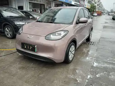 Wuling Bingo