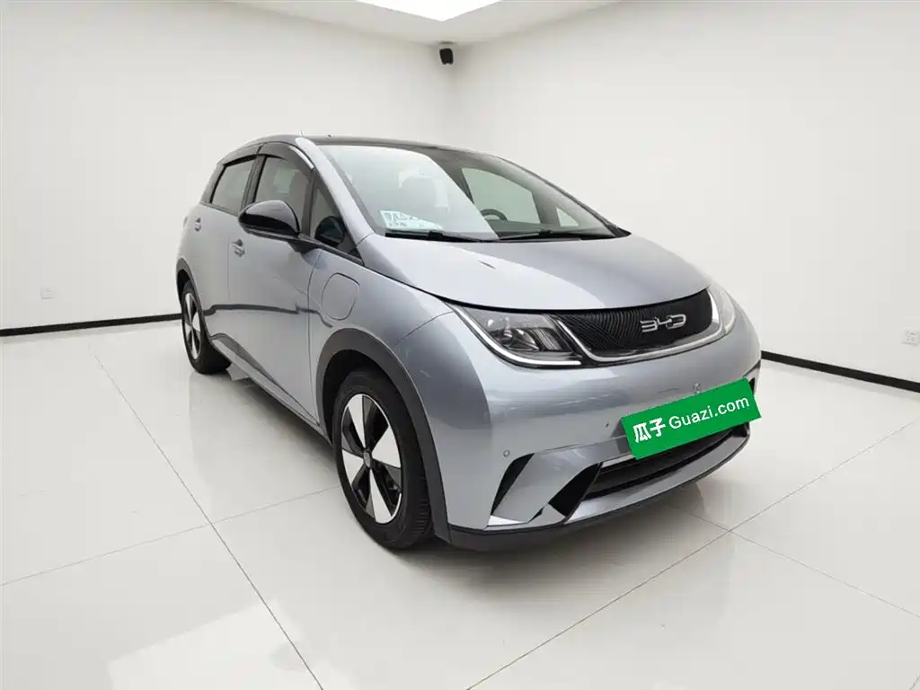 BYD Dolphin 2023 420km Fashion Edition фото 4