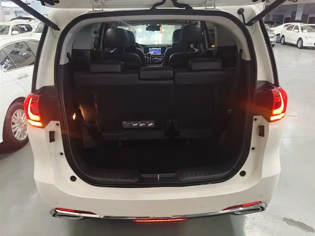 GAC Trumpchi Trumpchi M8 2018 320T Flagship Edition фото 19
