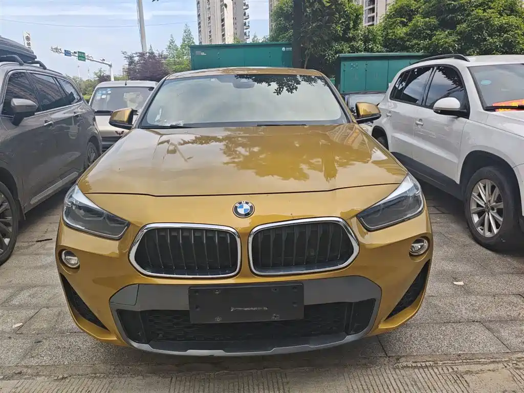 BMW X2 (Import) 2018 sDrive25i Exclusive M Off-Road Package China V фото 3