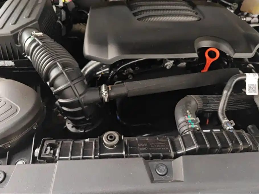 Tank 300 2024 Model 2.0T Challenger фото 10