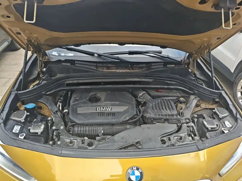 BMW X2 (Import) 2018 sDrive25i Exclusive M Off-Road Package China V фото 20