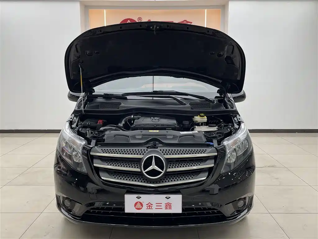 Mercedes-Benz Vito 2020 2.0T Business Edition (7-seater) фото 37