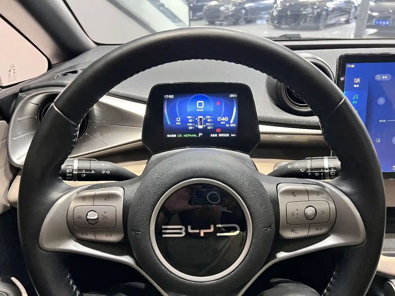 BYD Dolphin 2023 420km Fashion Edition фото 7