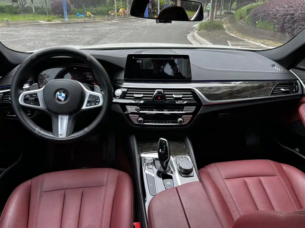 BMW 5 Series 2020 530Li Leading M Sport Package фото 18