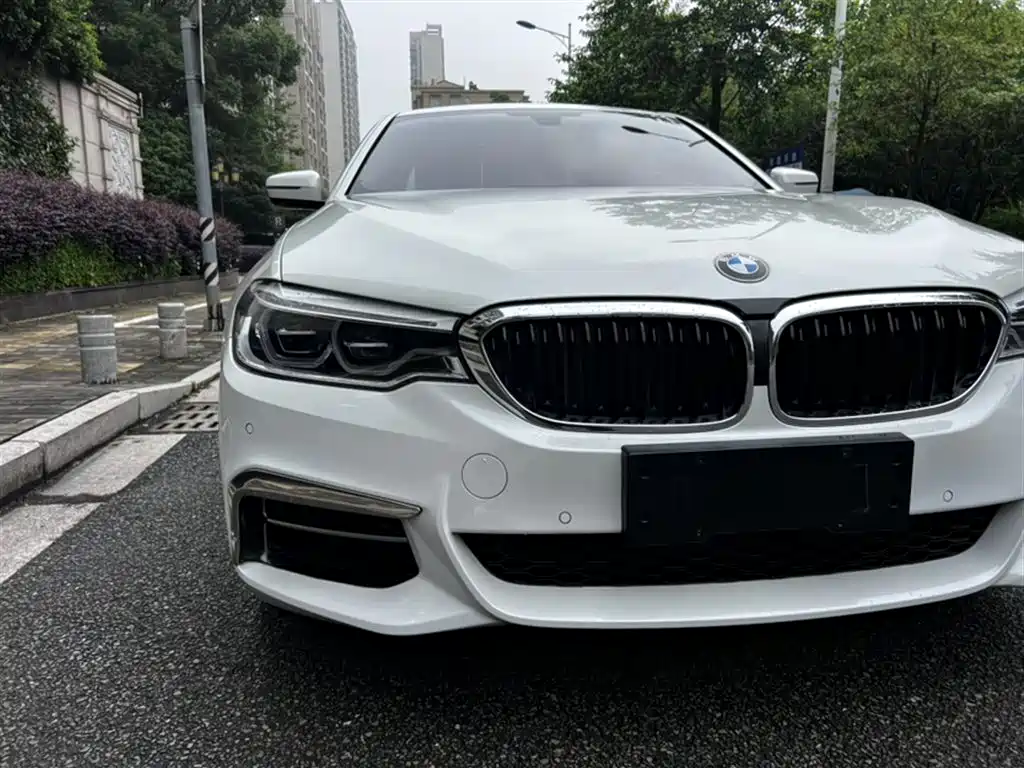 BMW 5 Series 2020 530Li Leading M Sport Package фото 14