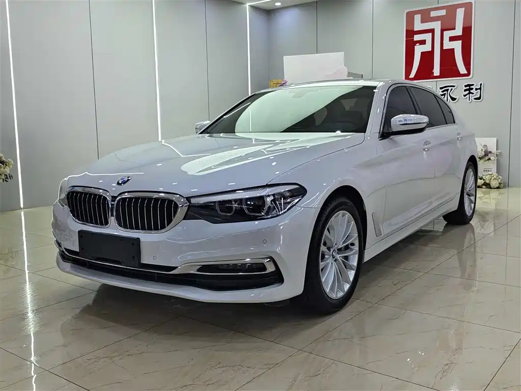BMW 5 Series 2019 530Li Leading Luxury Package