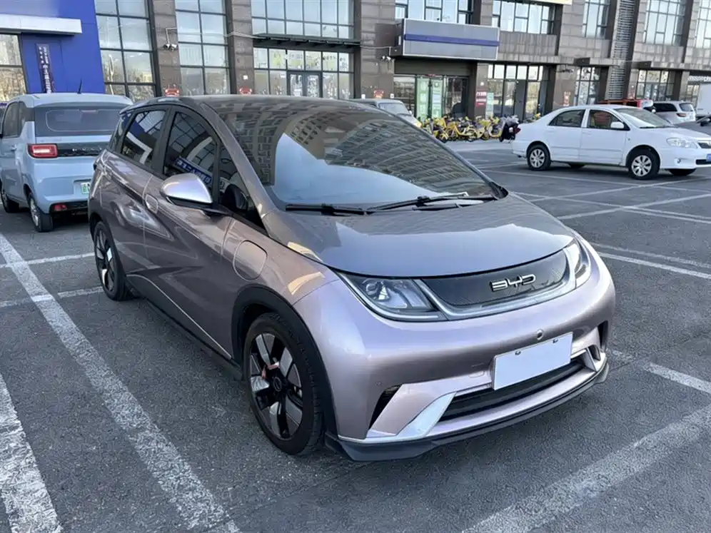 BYD Dolphin 2023 401km Knight Edition фото 25