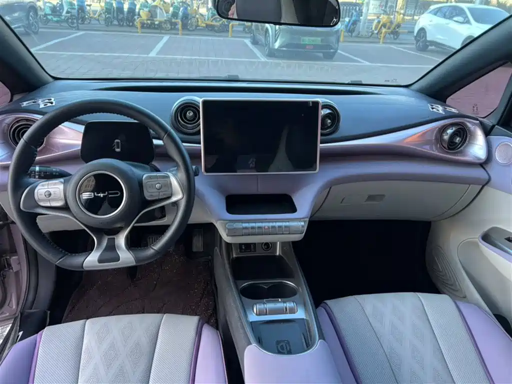 BYD Dolphin 2023 401km Knight Edition фото 13
