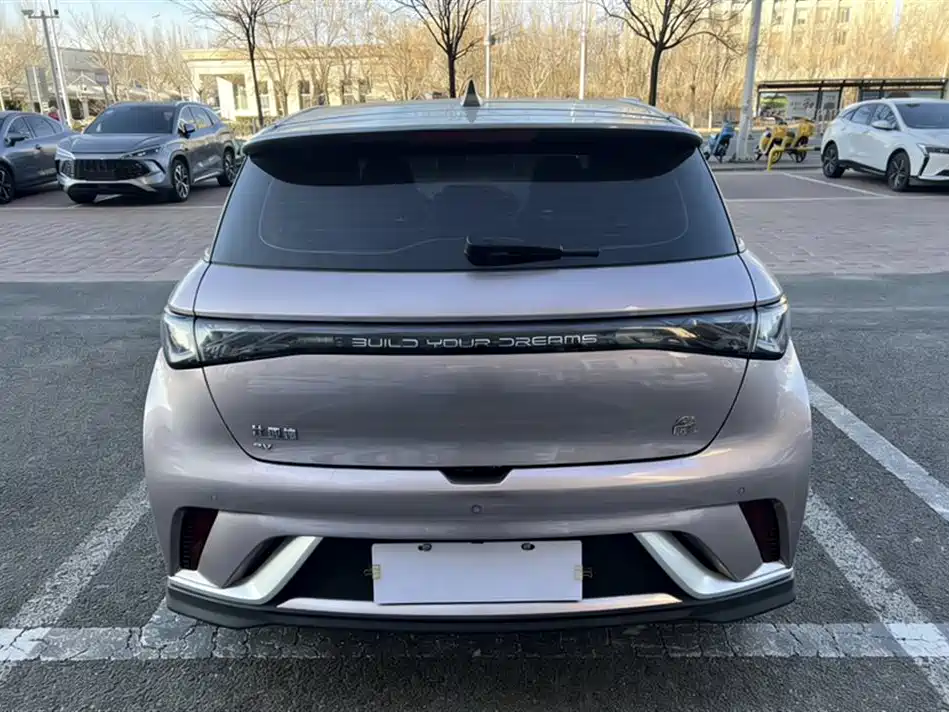 BYD Dolphin 2023 401km Knight Edition фото 23